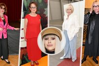 Ina T. hodnotí: Vkus v kategorii 60 plus! Šmrnc Švandové i urputná snaha Steinmasslové!