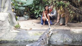 Barbora Hamplová si vyzkoušela, jaké to je nakrmit aligátora
