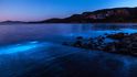 Za blankytnou neonovou modř v Tasmánii může jev zvaný bioluminiscence