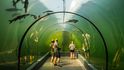 Největší sladkovodní tunel v přírodě nejen u nás, ale i v Evropě můžete po celý rok vidět v Modré u Velehradu. Má příznačný název Živá voda.