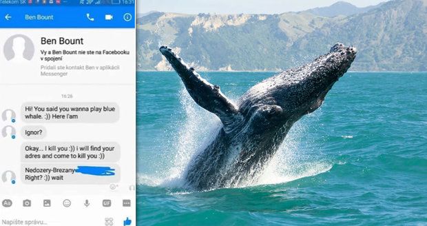 Policie potvrdila sebevražednou hru v Česku: První obětí Modré velryby je údajně Dominika (14)