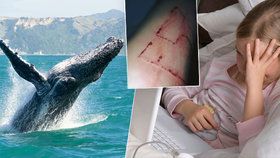 Vyhrožují mi z Modré velryby: Dívenka z Pelhřimovska (11) si vymyslela, že je obětí sebevražedné hry