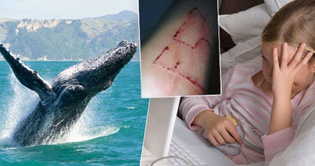 Vyhrožují mi z Modré velryby: Dívenka z Pelhřimovska (11) si vymyslela, že je obětí sebevražedné hry