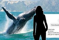 Psala jsem si s kurátorem Modré velryby, svěřila se Lucie (26): Teď jí vyhrožuje smrtí