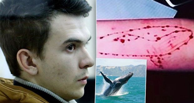 Kluk, který prý založil sebevražednou Modrou velrybu, je ve vězení: Vše podle něj začalo jinak 