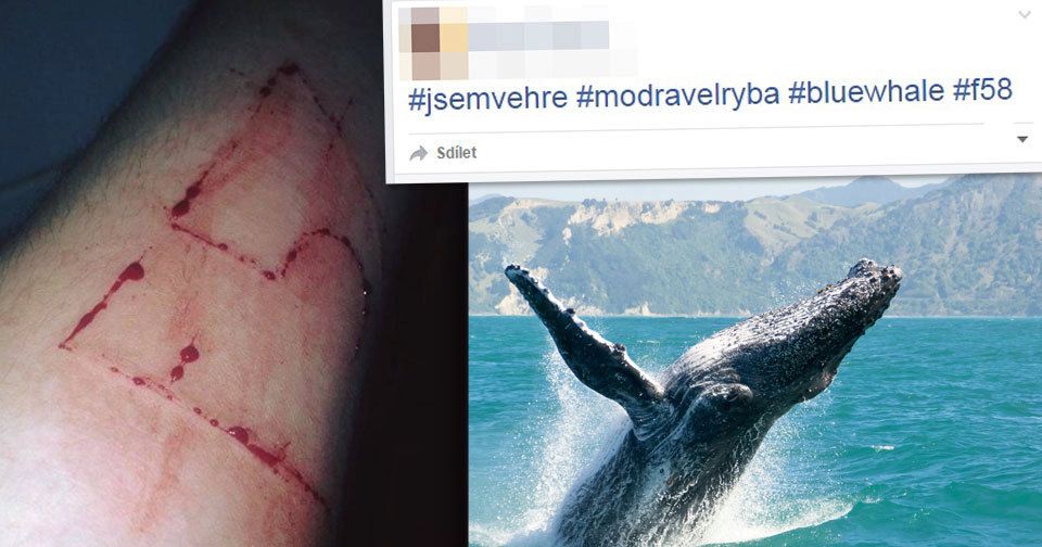 Chci hrát! Desítky českých dětí se na sociálních sítích zapojují do Modré velryby.