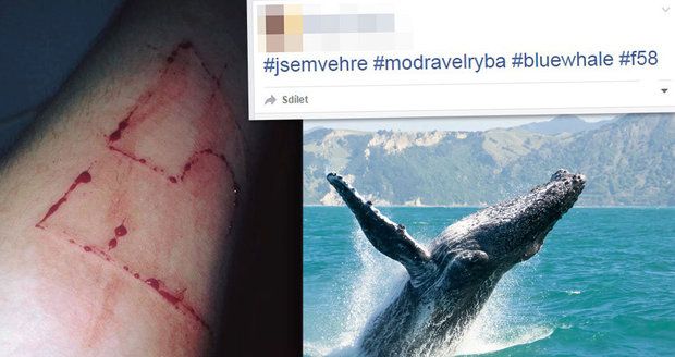 Chci hrát! I přes varování policie se české děti hlásí do sebevražedné Modré velryby