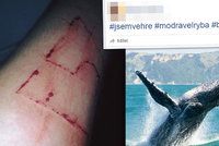 Chci hrát! I přes varování policie se české děti hlásí do sebevražedné Modré velryby