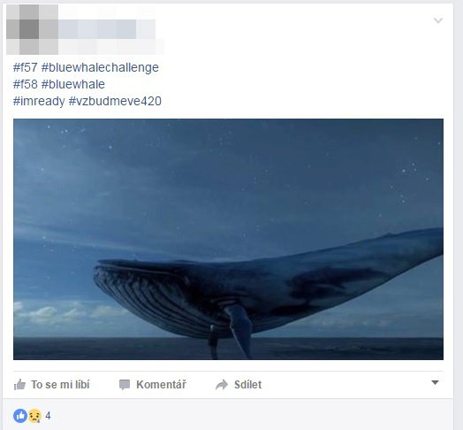 Chci hrát! Desítky českých dětí se na sociálních sítích zapojují do Modré velryby.