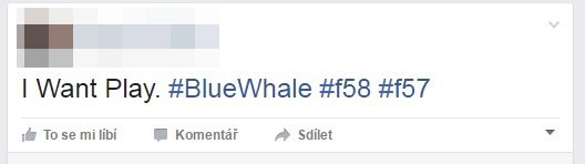 Chci hrát! Desítky českých dětí se na sociálních sítích zapojují do Modré velryby