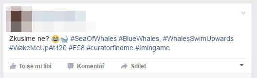 Chci hrát! Desítky českých dětí se na sociálních sítích zapojují do Modré velryby