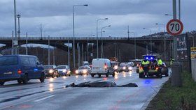 Žena zemřela po srážce s autem u nádraží Braník.