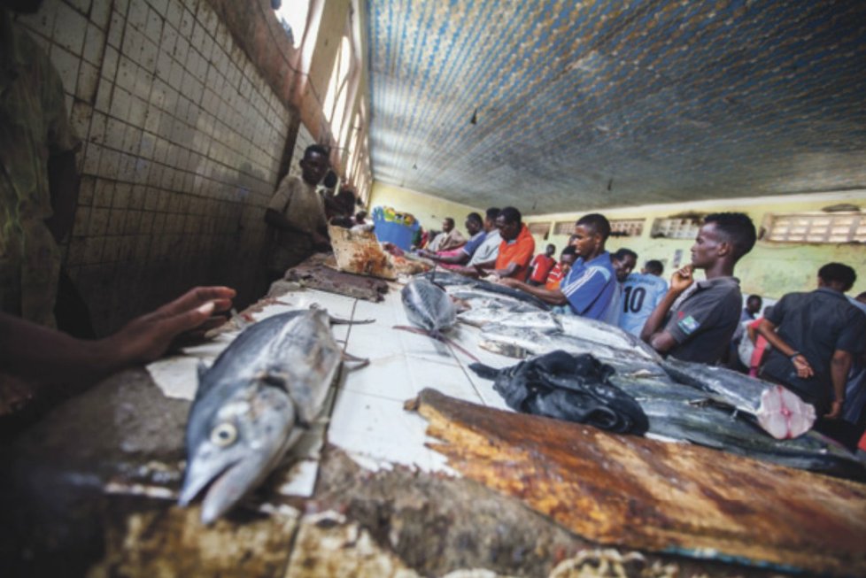 Rybí trh v hlavním městě se od časného rána zaplňuje lidmi.