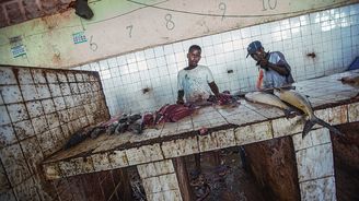 Válkou zdevastované Somálsko: Podívejte se na poslední rybí trh v Mogadišu