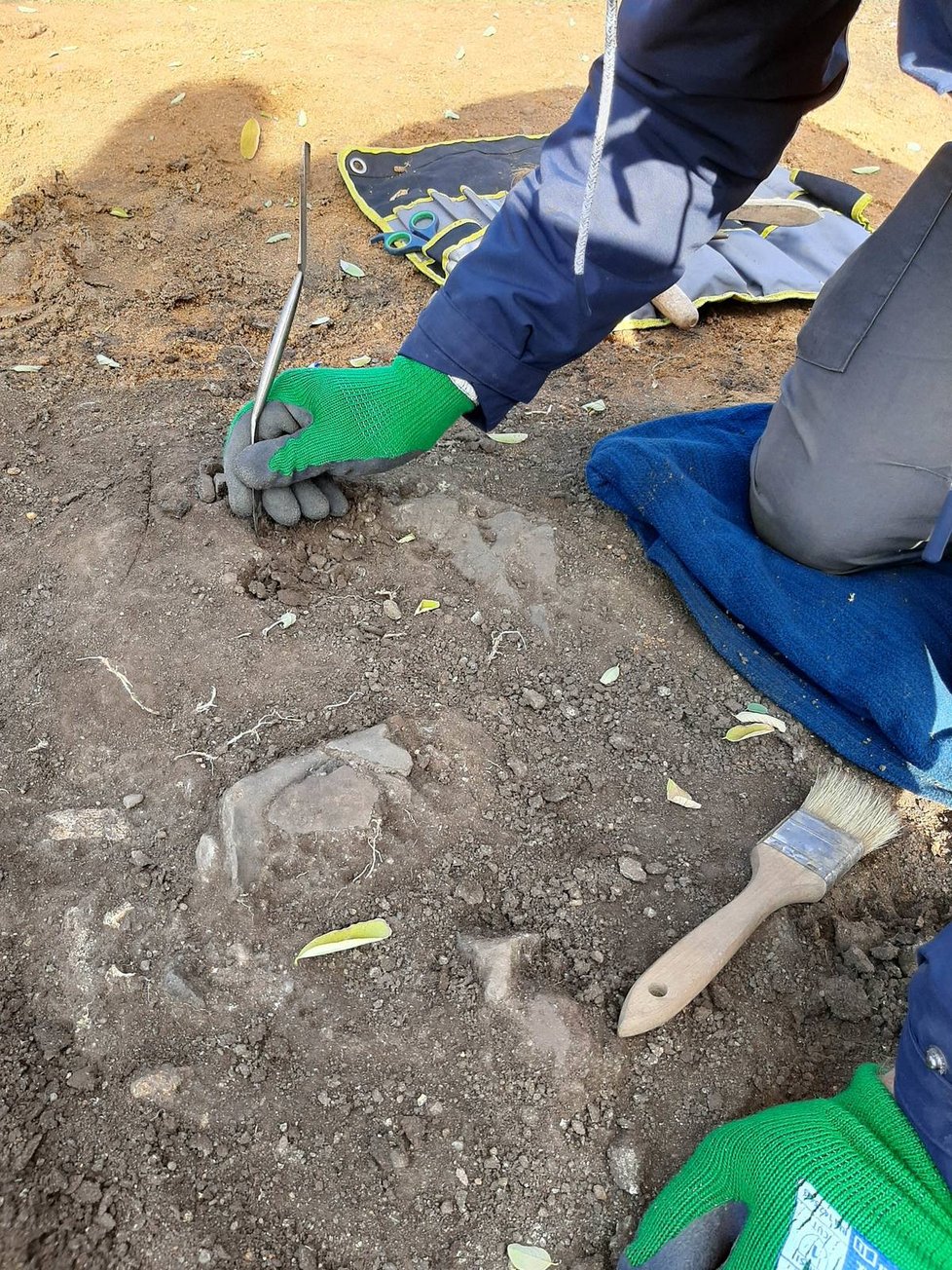 Odkrývání jednoho z hrobů z pozdní doby kamenné pod mohylou ve Vražkově.