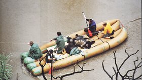 Snímky z povodní 2002, které dokazují, že Marek ve člunu, který gorily převážel, nebyl