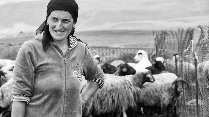 Pastevci v horách starající se o stáda ovcí