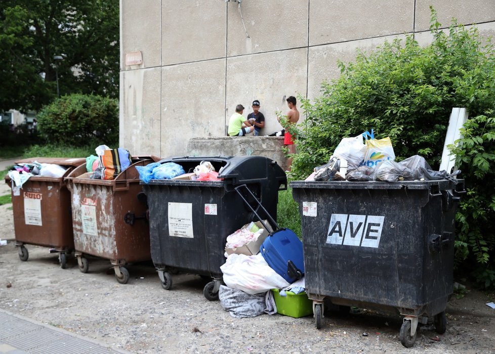 Mojžíř se probouzí k životu kolem páté večerní, dění končí až nad ránem