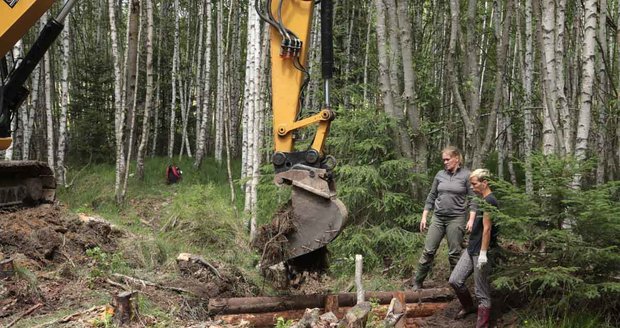 Na Šumavě vrací vodu mokřadům: Hluboké kanály zmizí, vrátí se mělké potoky