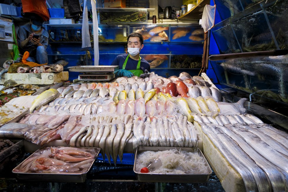 Kontroverzní mokré trhy jsou v Asii stále oblíbeným místem. Snímky pocházejí z Pekingu