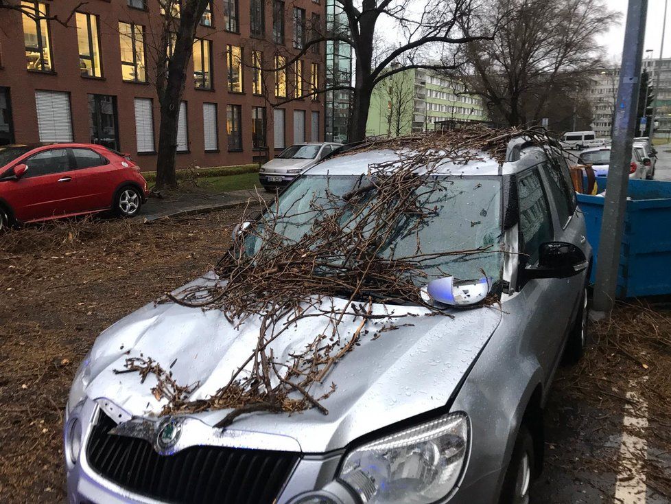 V Molákově ulici na Invalidovně spadl kvůli silnému větru strom, 10. února 2020.