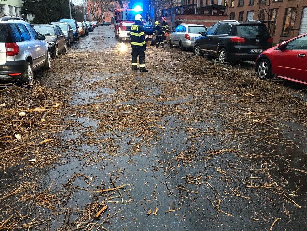 V Molákově ulici na Invalidovně spadl kvůli silnému větru strom, 10. února 2020.