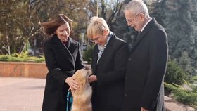 Rakouského prezidenta zranil „první pes“: Pokousal ho mazlíček moldavské prezidentky