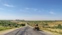 Povozy s koňmi nebo osly nejsou na moldavských silnicích ničím výjimečným