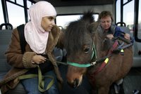 Slepou dívku místo psa doprovází kůň