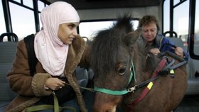 Slepou dívku místo psa doprovází kůň