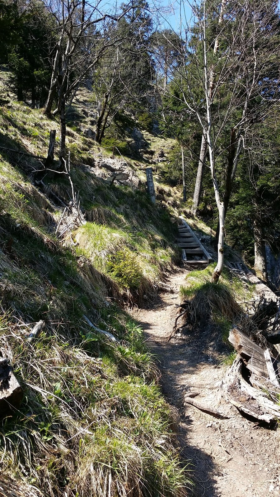 Sestupová cesta z hory Drachenwand