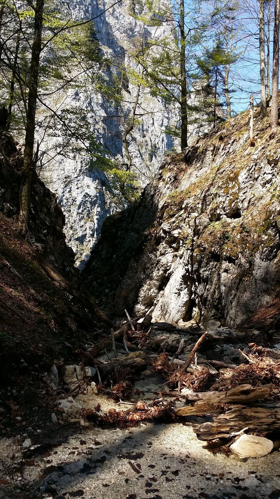 Sestupová cesta z hory Drachenwand