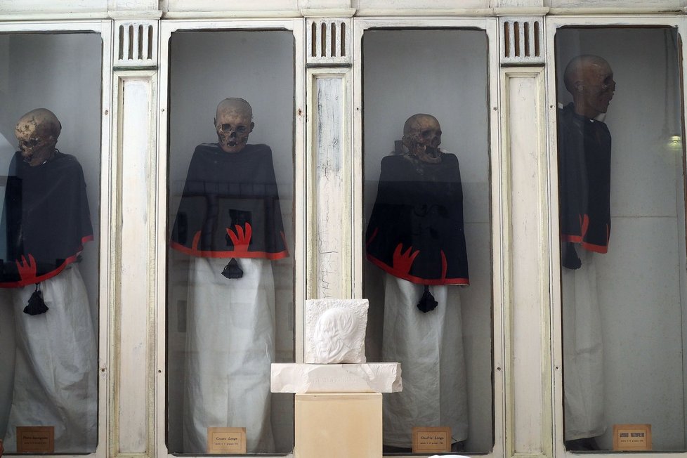Celkem je v místnosti devět mumií. Odpočívají v těchto prostých vitrínách.