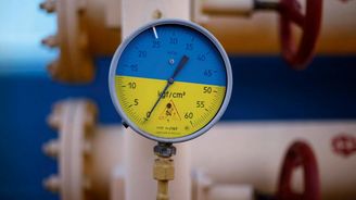 Naftogaz je zátěž, měl by být zprivatizován, tvrdí Porošenkův muž