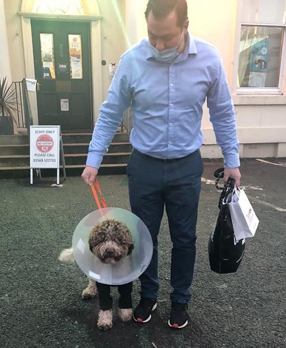 Monty po propuštění z veteriny.