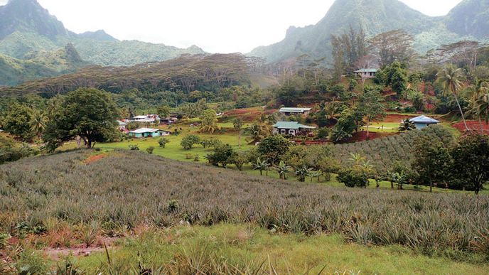 Ostrov Moorea leží sedmnáct kilometrů od rušnějšího Tahiti. Zdejší ananasová pole prý dávají nejchutnější plody na světě.