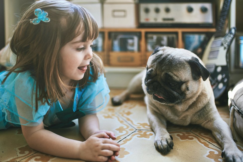 Mops se skvěle hodí k dětem.