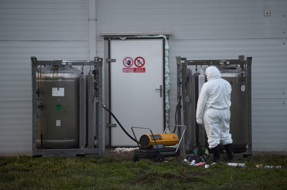 Ve Slepoticích na Pardubicku, kde ve stejný den pokračovala likvidace komerčního chovu drůbeže kvůli potvrzené ptačí chřipce, bylo veterináři nařízeno usmrcení kolem 140.000 kusů.