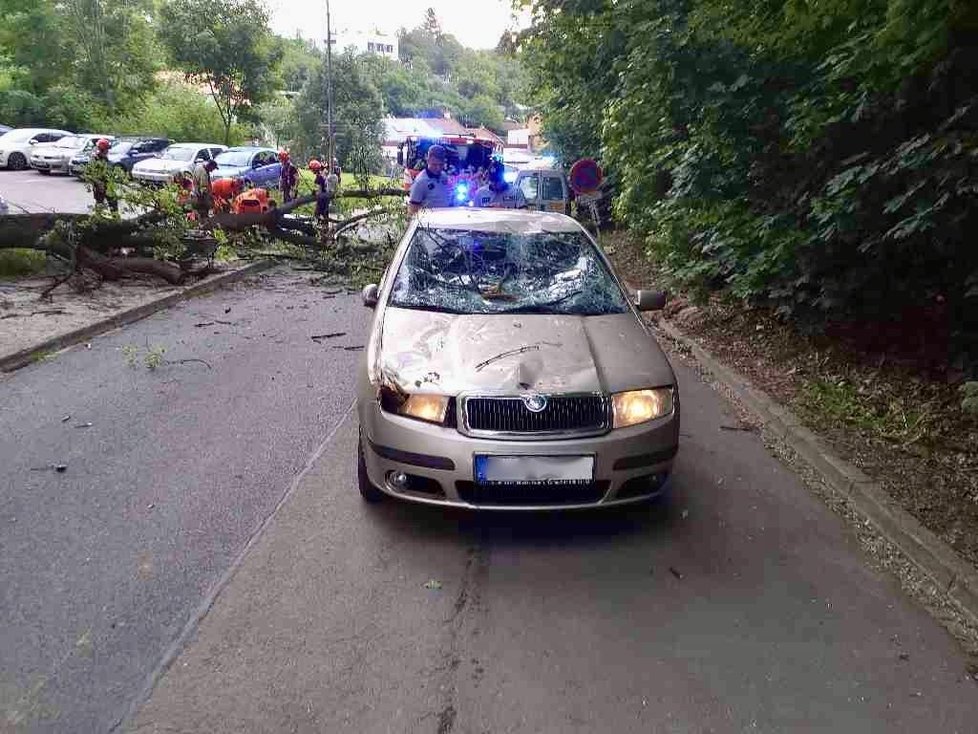 Kroupy jako golfové míčky a popadané stromy: Bouře řádila i na jihu Moravy (5.6.2022)