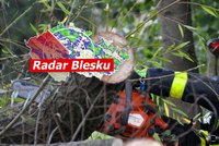 S letními teplotami přijde do Česka vichřice. Může lámat větve i stromy, sledujte radar Blesku