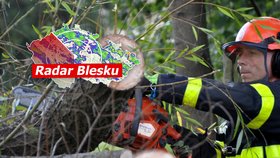 S letními teplotami přijde do Česka vichřice. Může lámat větve i stromy, sledujte radar Blesku 