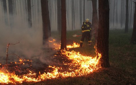 Hasiči bojují s nejhorším požárem za 15 let.
