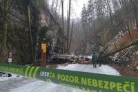 V Moravském krasu se zřítil kus skály! Nejznámější stezka v Pustém žlebu je uzavřena