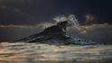 Detaily vln, které fotí Ray Collins, jsou neuvěřitelné