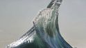 Detaily vln, které fotí Ray Collins, jsou neuvěřitelné