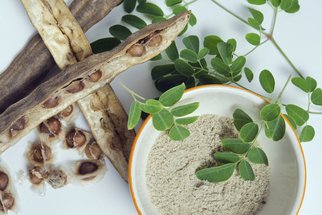 Moringa oleifera fenomén mezi plodinami