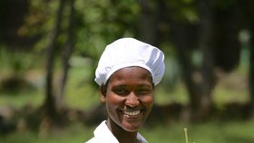 Moringa roste v Etiopii snad všude.