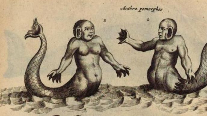 Mořské panny na kresbě z roku 1657
