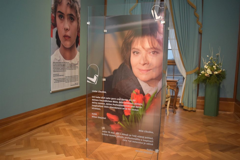 Výstava na Moritzburgu se týká i Libuše Šafránkové