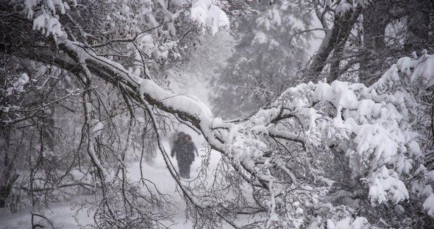 Sněžná bouře nad Moskvou: Jeden člověk zemřel, problémy mají i lety do Česka